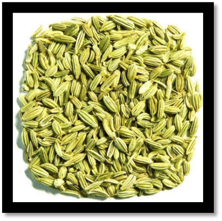 Fennel Seeds